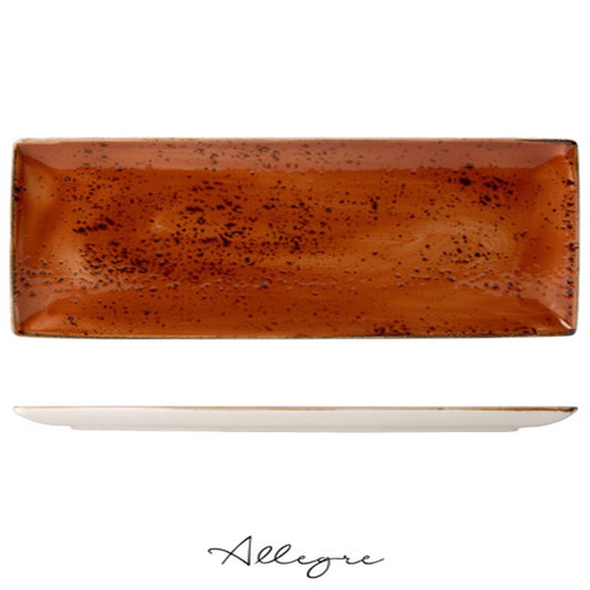 14.5in. L x 6.5in. W Rectangle Serving Plate for 4 to 5 Persons - Speckled Terra