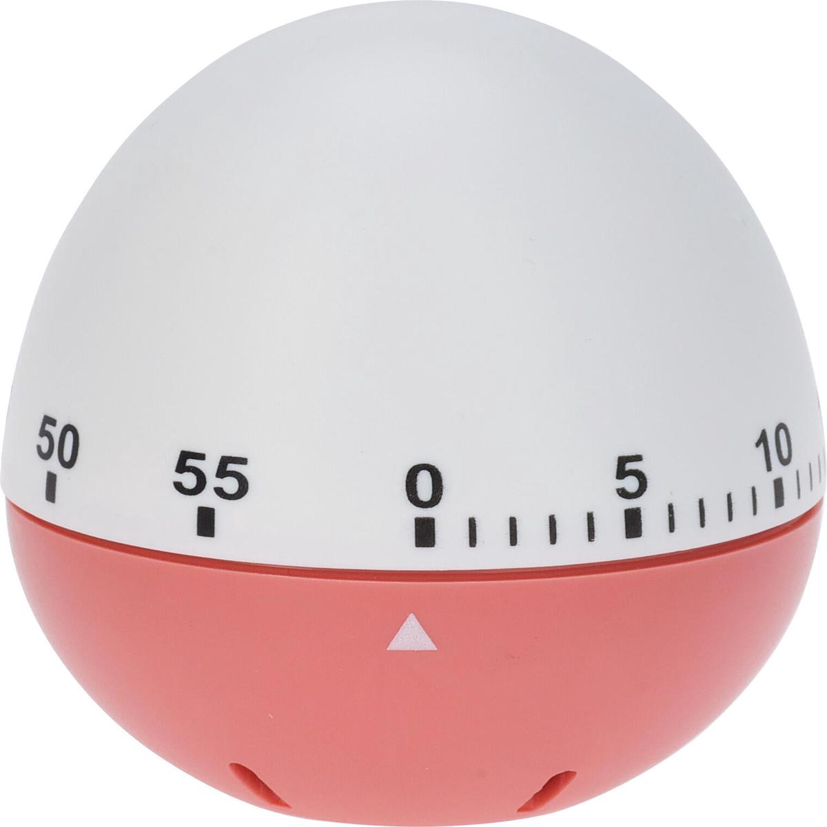Egg Timer - Egg Shaped Coral A