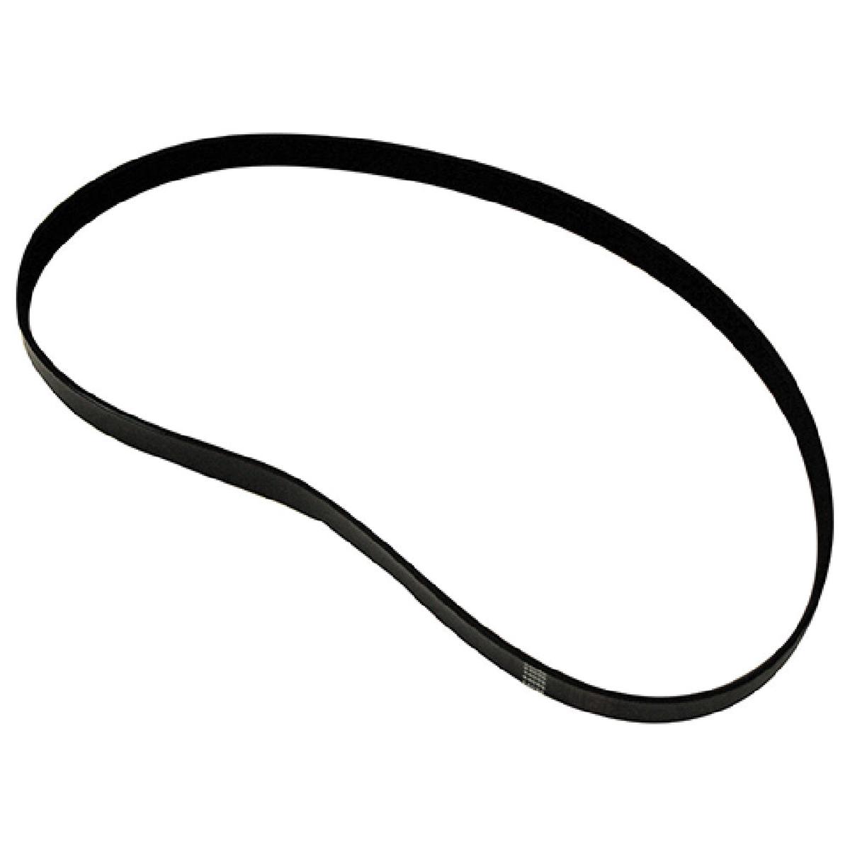 Taylor Thermometer -44056 3 Inch Heavy Duty Belt Thermometer Stainless Steel with OEM