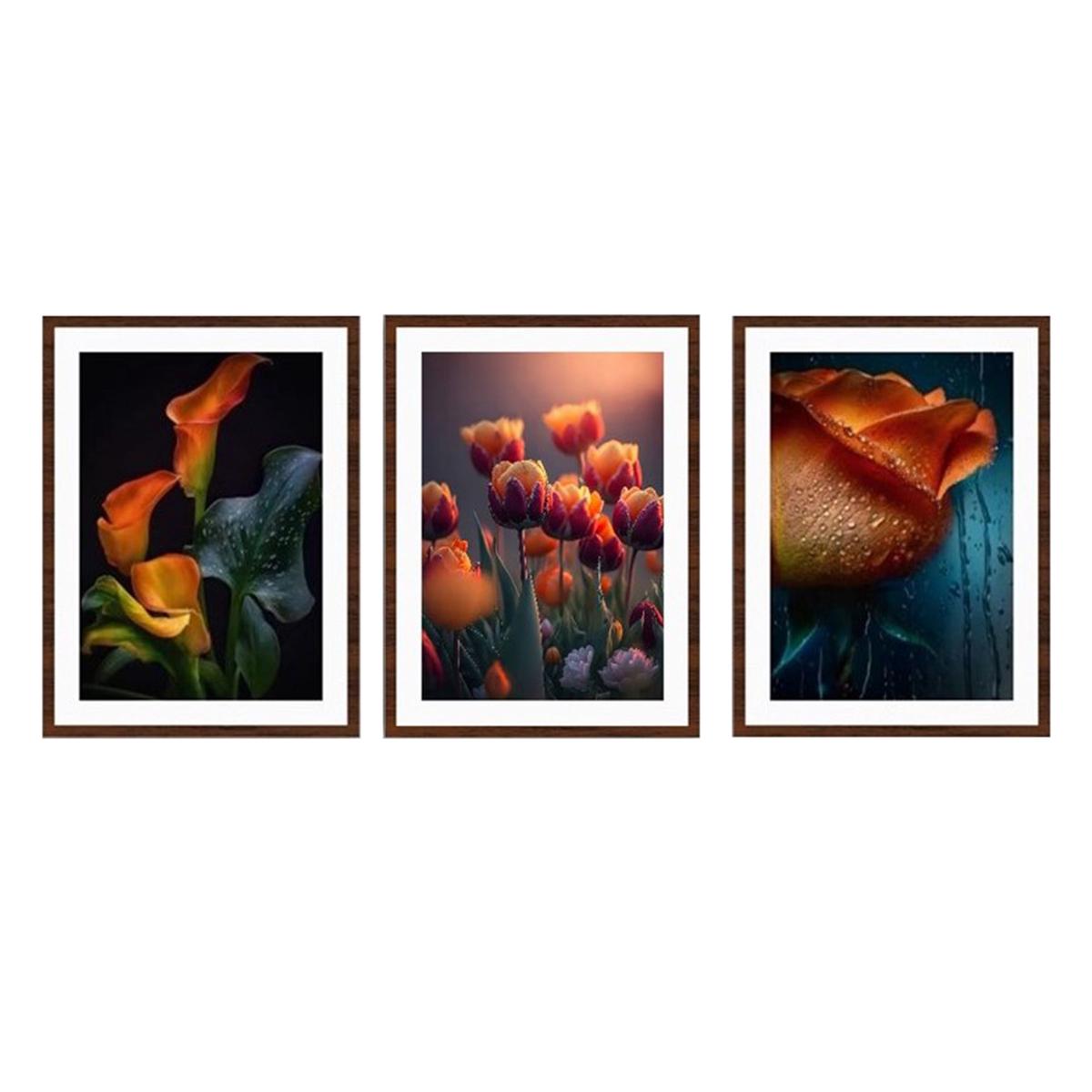 3Pc Frame Set - 22X30Cm