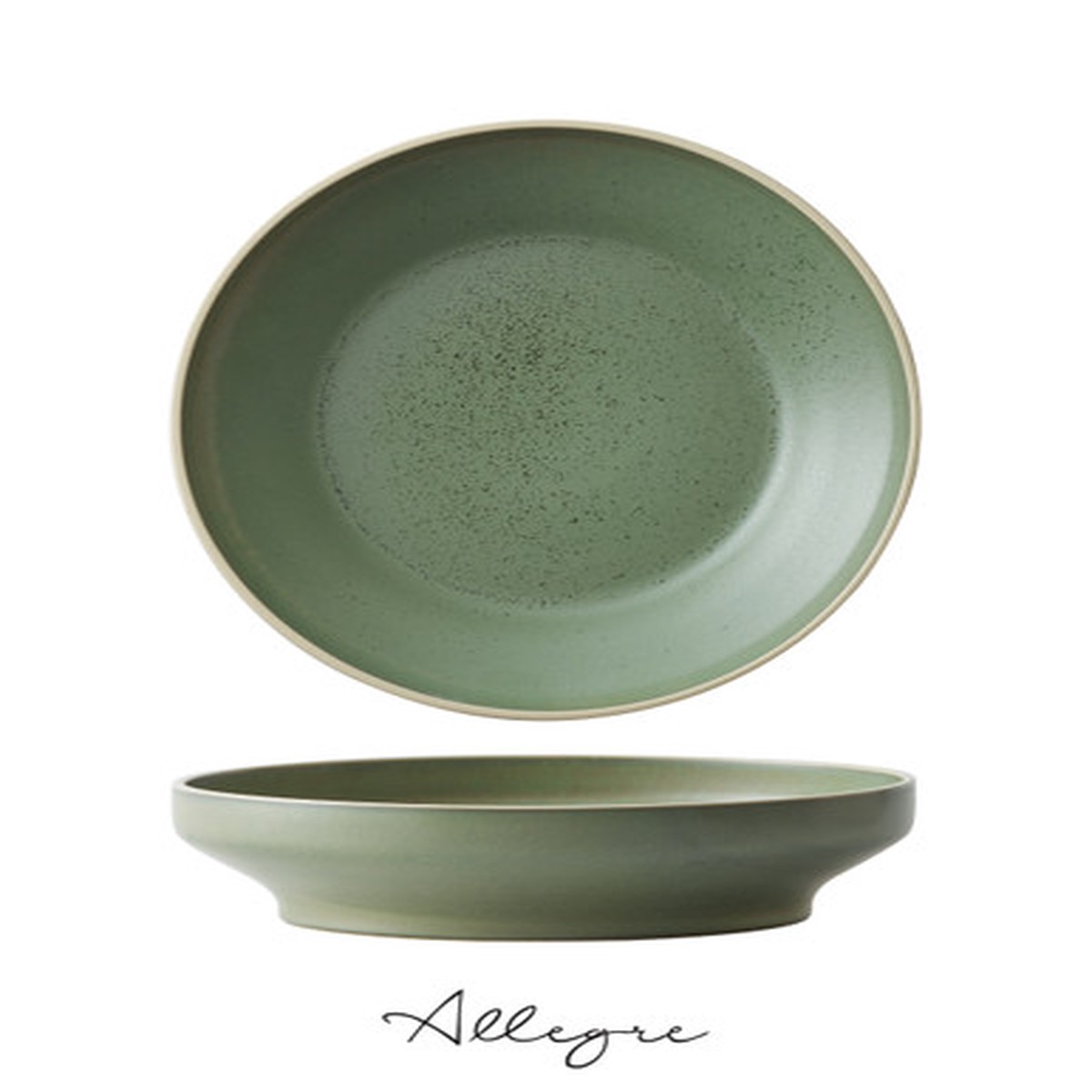 10.25 in. Raised Salad/ Pasta Plate/ Shallow Serving Dish for 3 to 4 Persons 1.5 L - MOD Smoky Basil