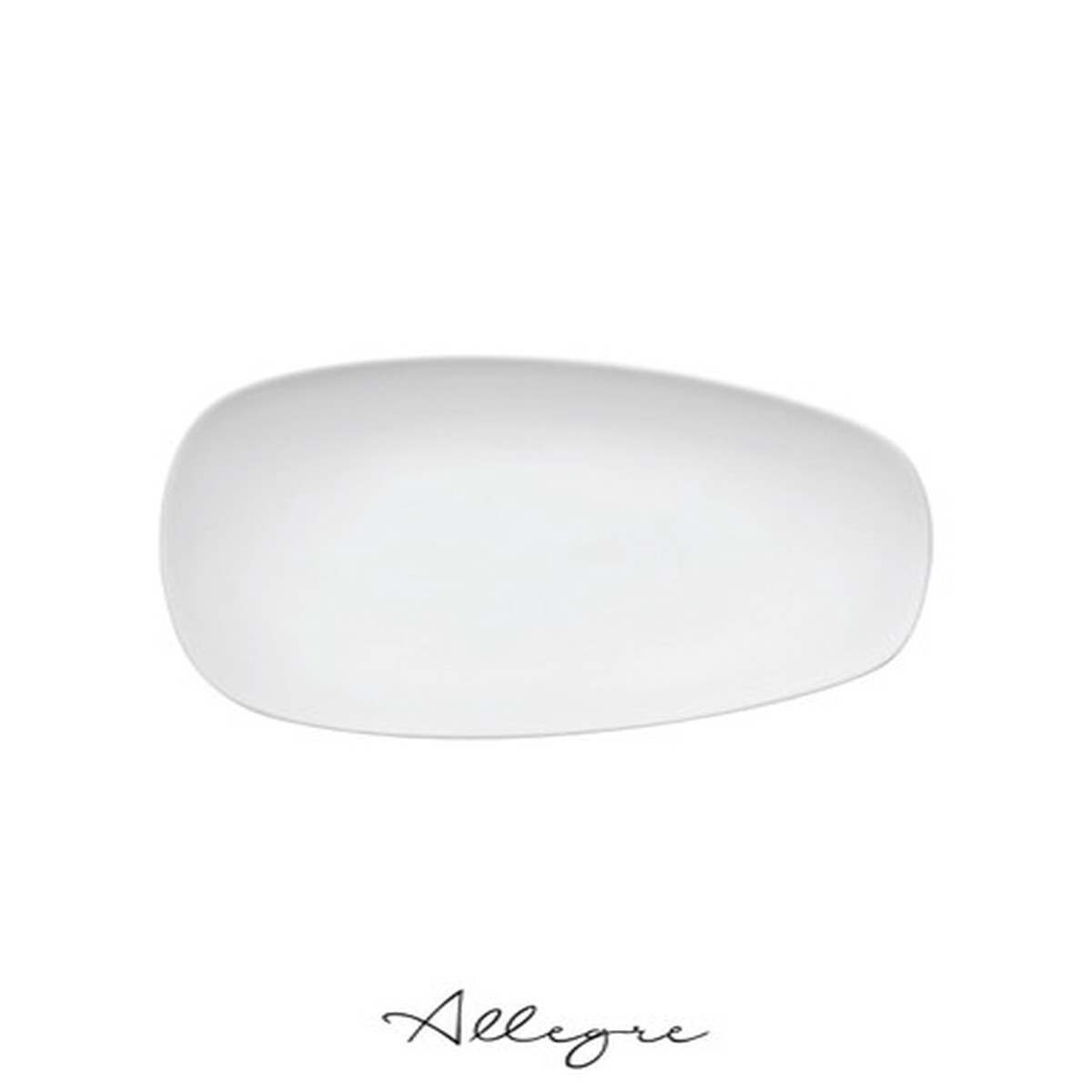 10.8 in. L x 6.6 in. W Rectangle Salad Plate/ Serving Plate for 2 Persons - Evolution