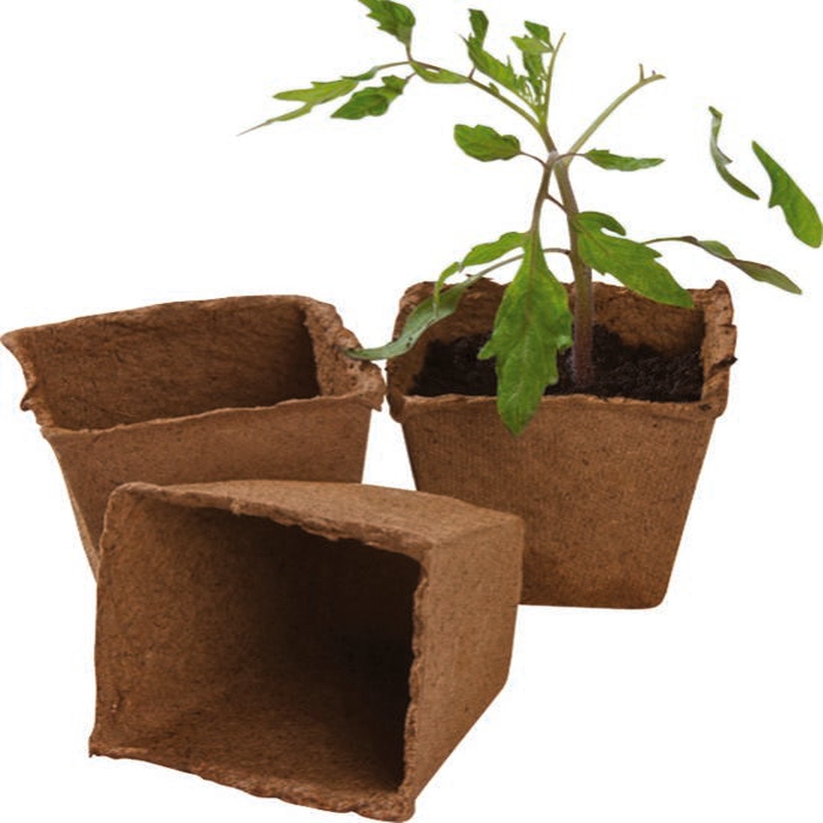 12 8cm Square Fibre Pots