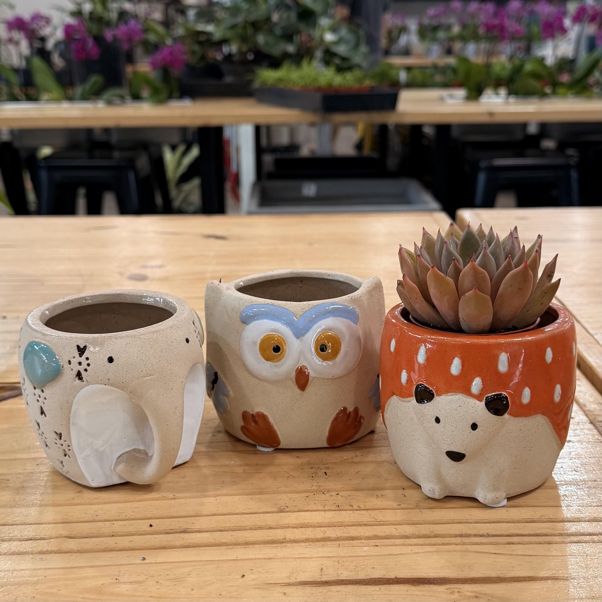 4" Animal Planter