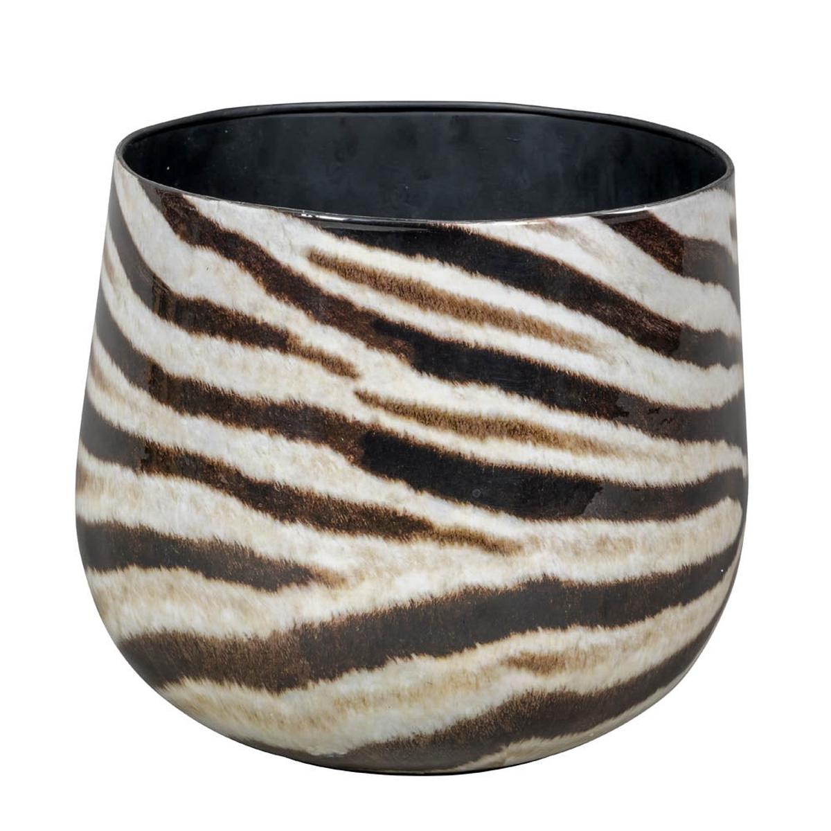 Zebra 1-01 25cm H22.5cm