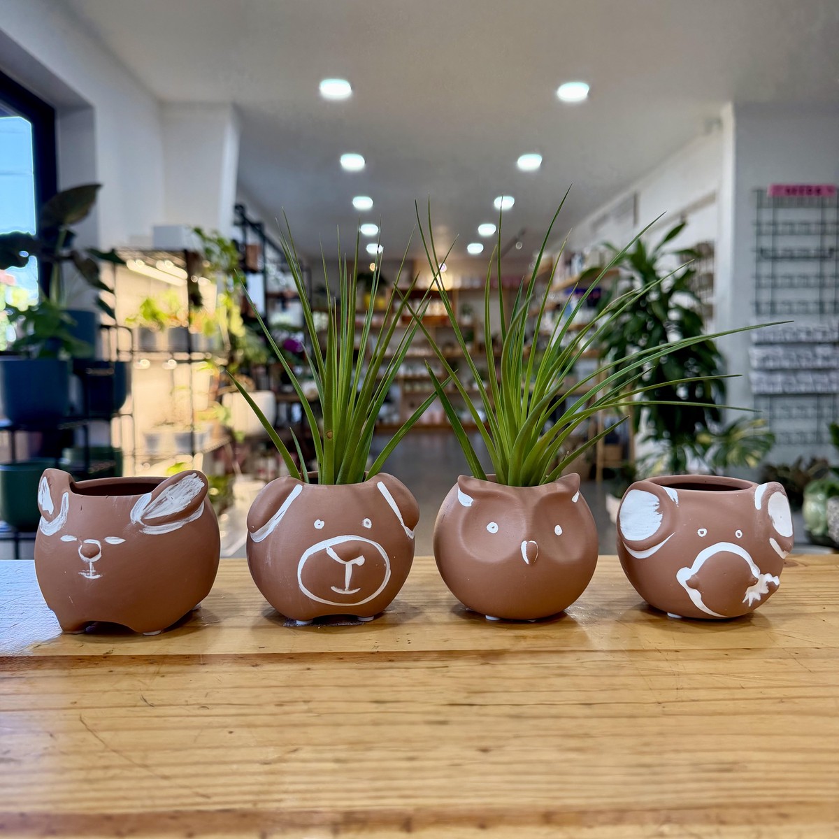 3" Animal Planter