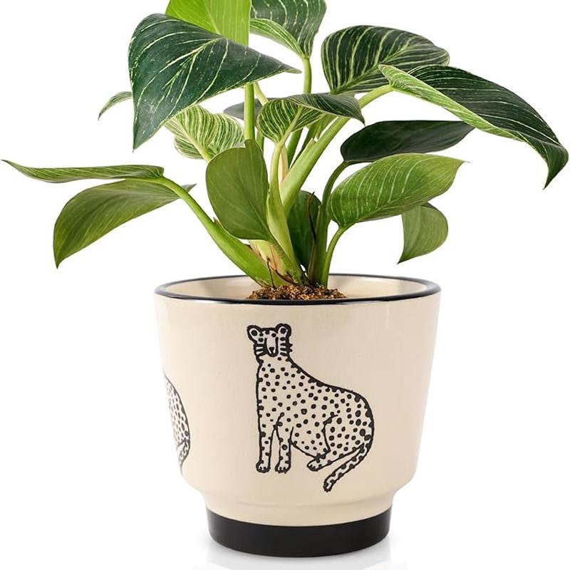 5 Inch Ceramic Planters for Indoor Plants, Funny Small Plant Pots with Drainage, Unique Decorative Cute Flower Pot Panthers Round Flowerpots