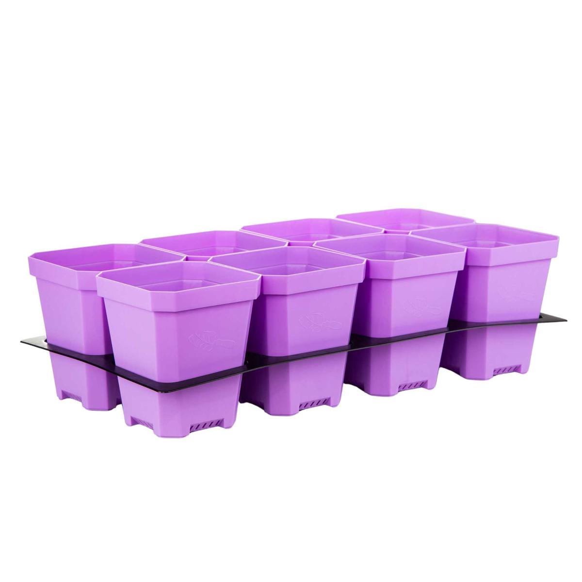 5" Nursery Pots with Insert Tray - Purple | 5 Inserts 40 Pots