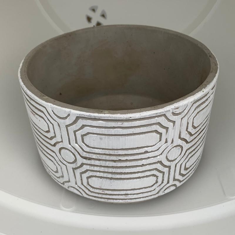 5.5" Chloe Low Bowl Concrete Pot