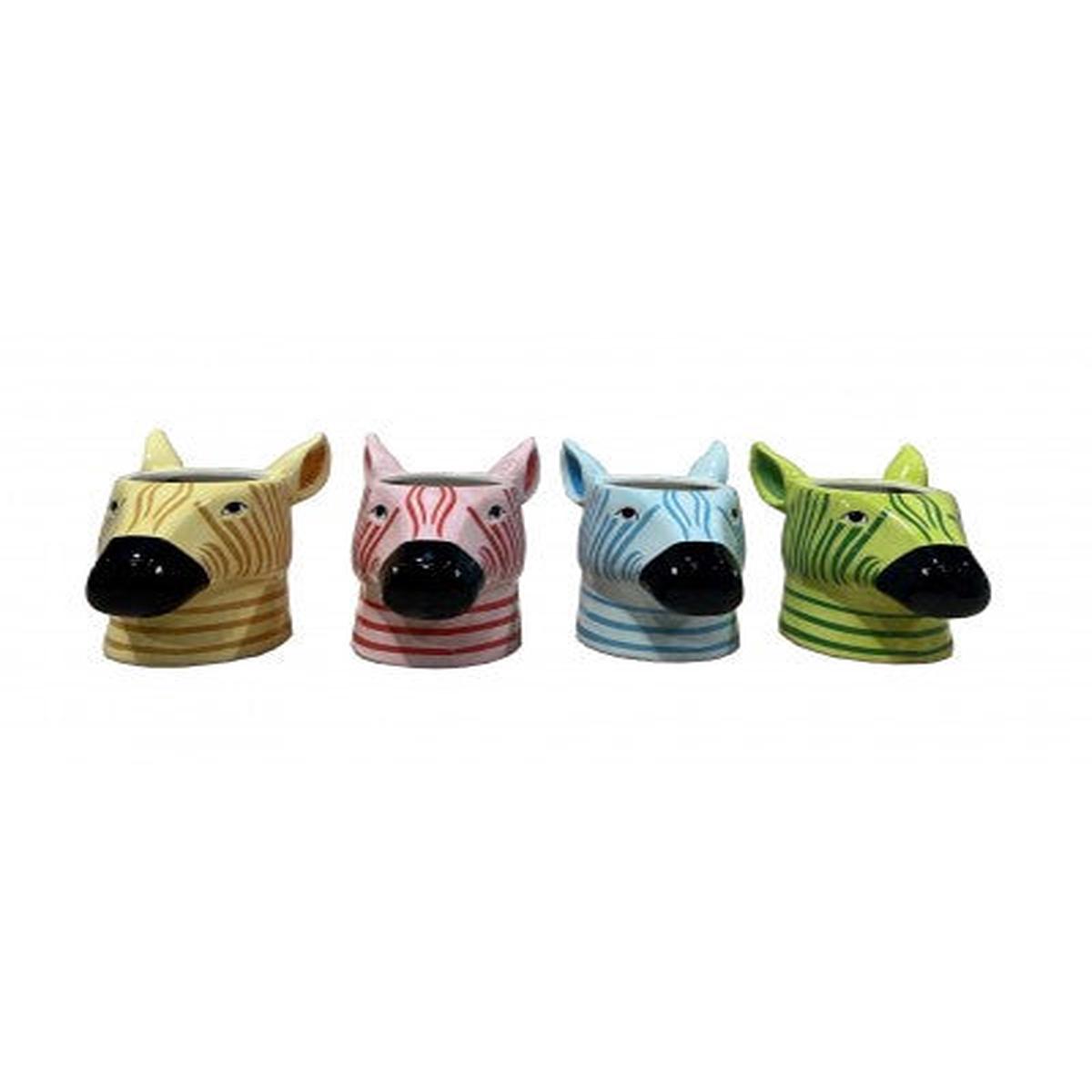 Pot Zebra - Assorted Colours