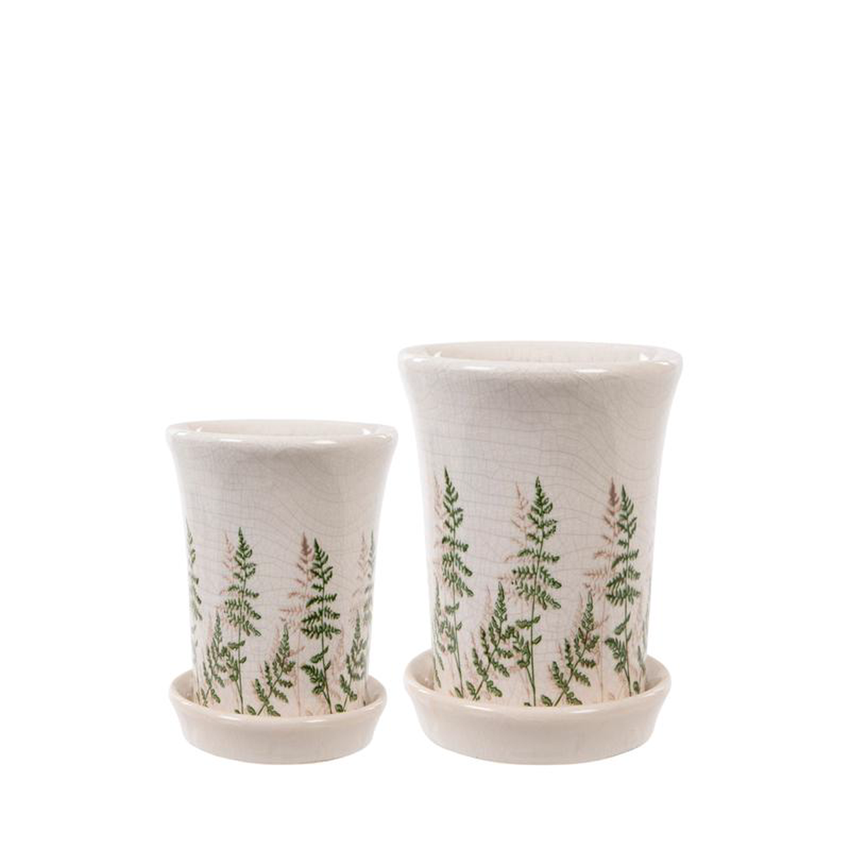 Pot with Tray Fern L 22cm x H19cm