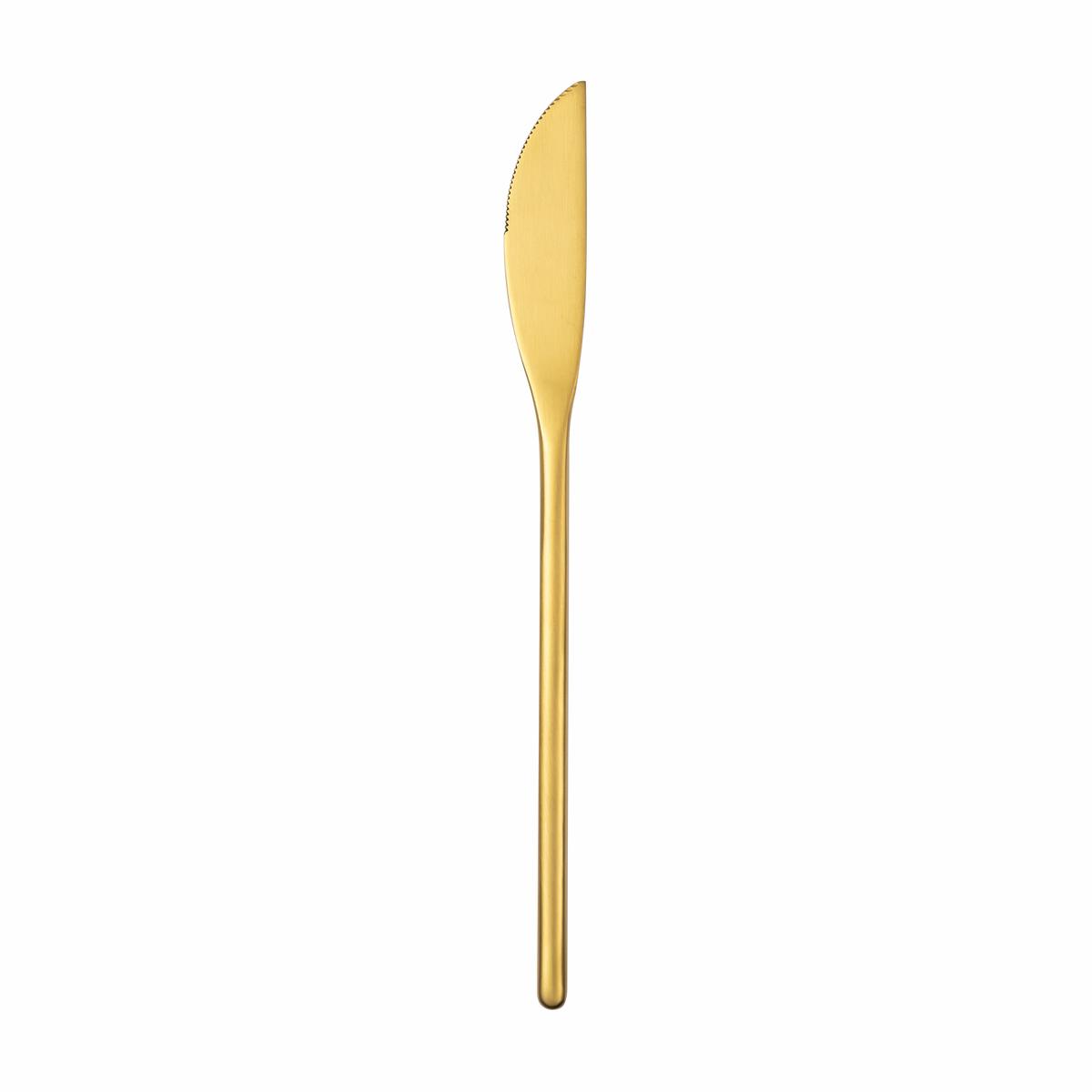 22cm Dinner Knife